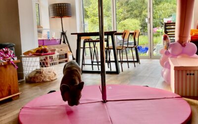 Setting up a home pole studio and space